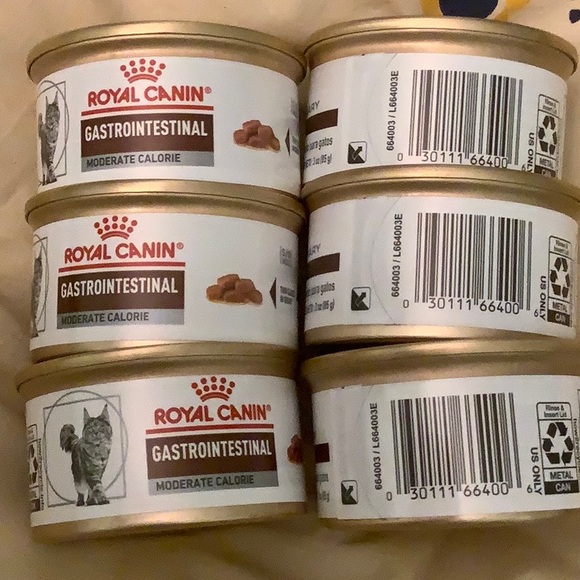 NEW Royal Canin Rx Gastrointestinal Cat Food 6 Pack - Picture 8 of 11